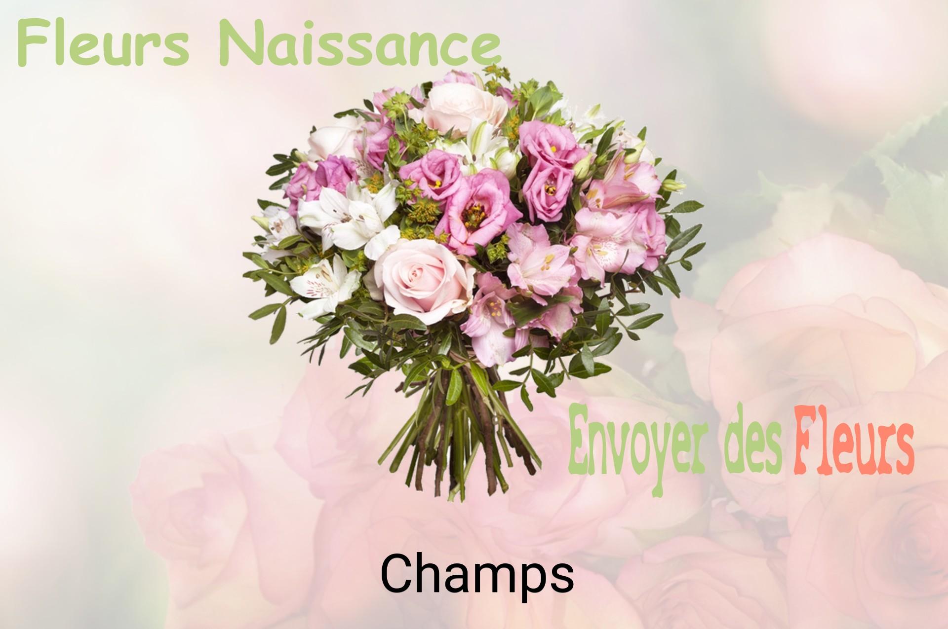 Bouquet de fleurs de naissance livré à Champs