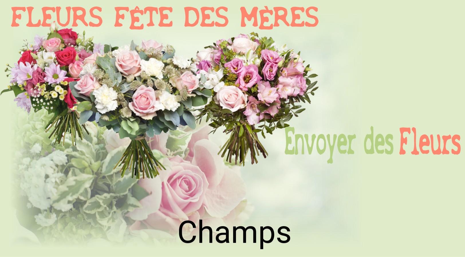 Bouquet de Fête des Mères livré à Champs